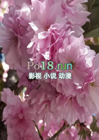 调教小猫护食